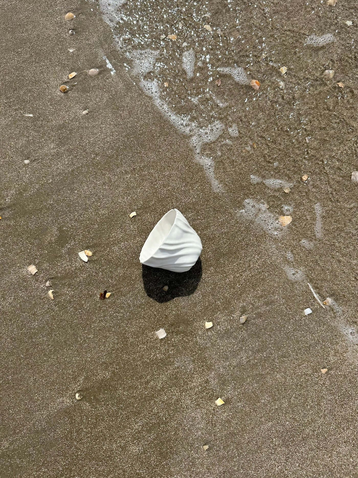 Tidevandskop skyllet af bølgerne på stranden.