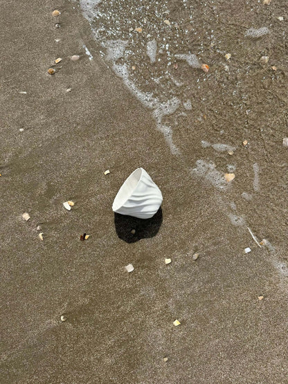 Tidevandskop skyllet af bølgerne på stranden.