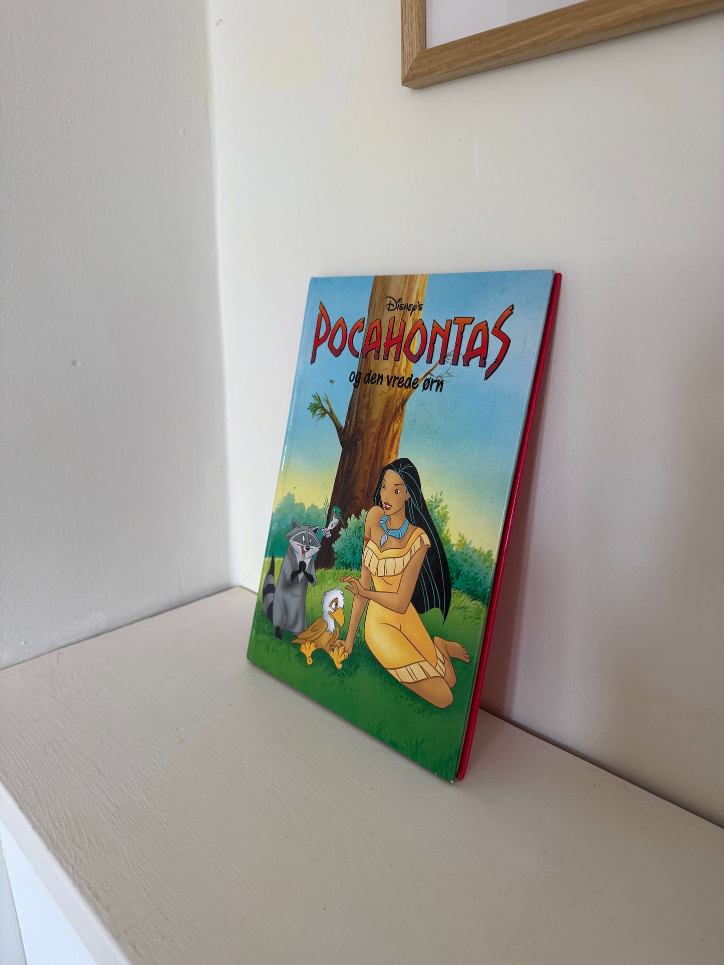 Pocahontas og den vrede ørn bog