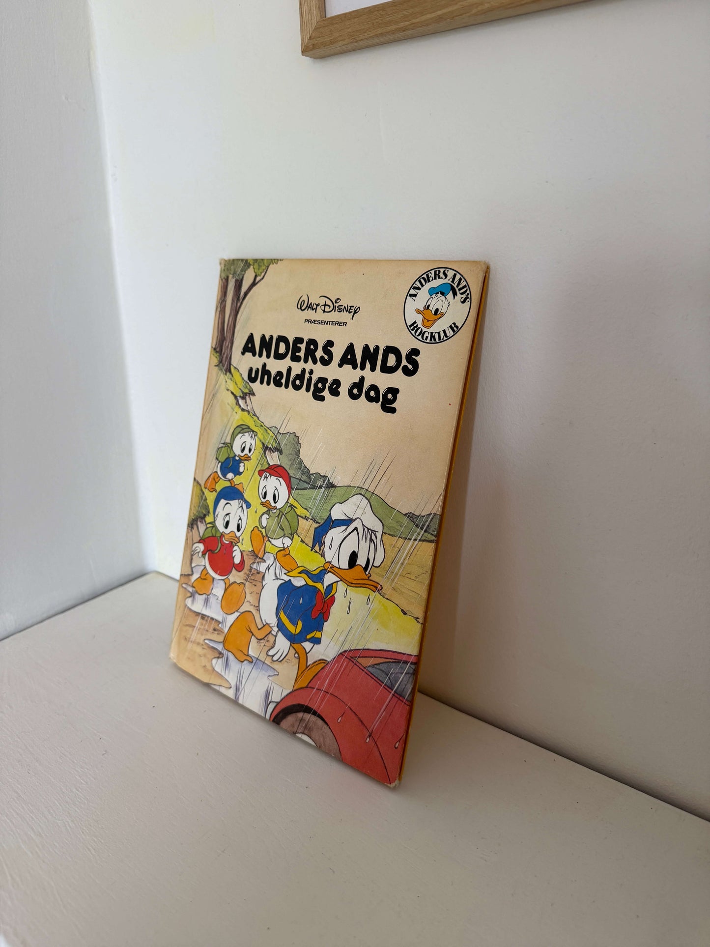 Anders Ands uheldige dag bog