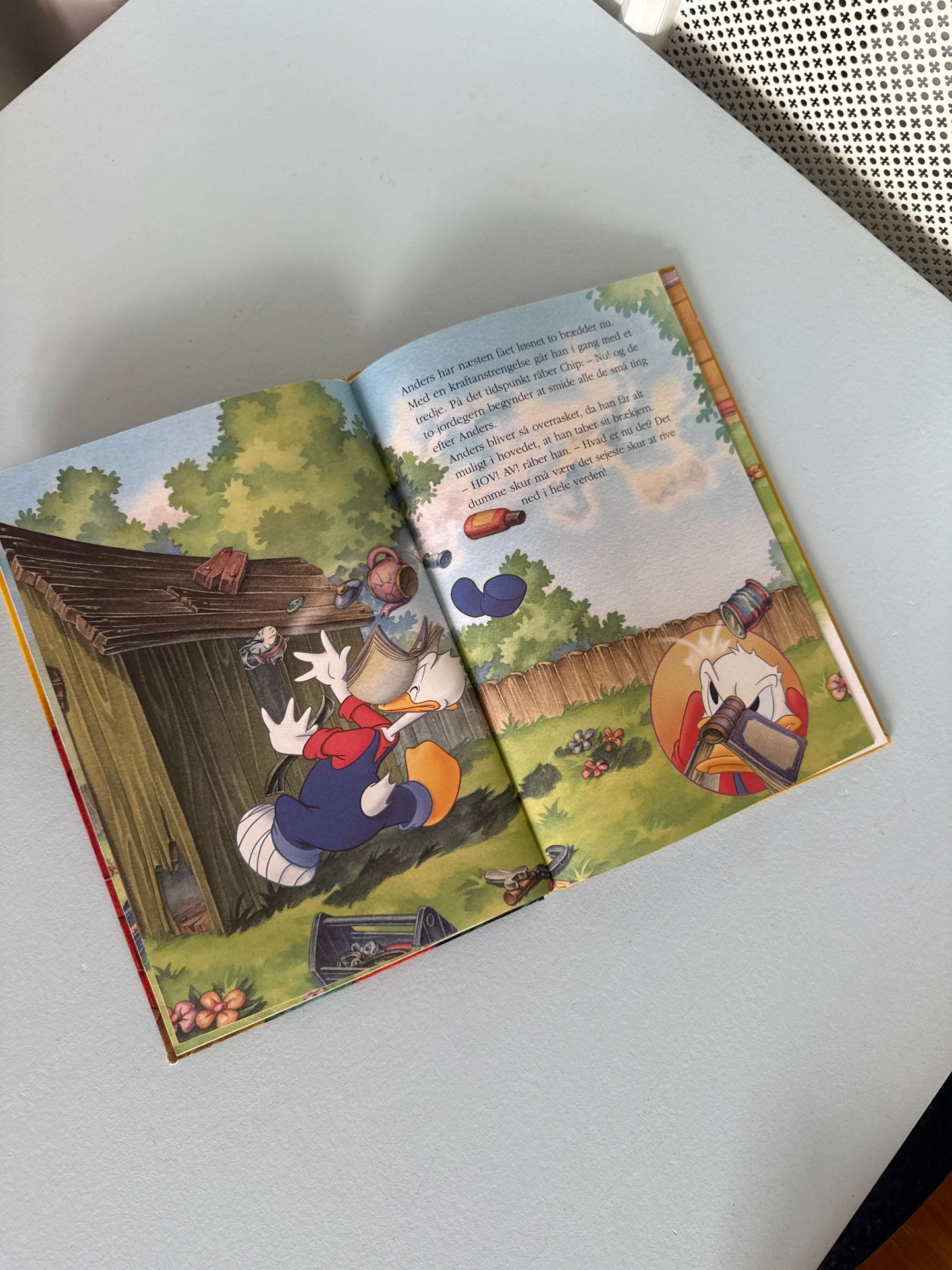 Chip og Chap holder flyttedag – Disney børnebog