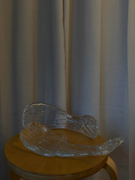 Glasfisk