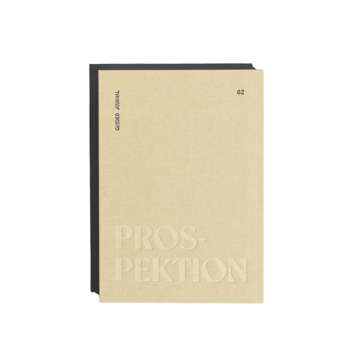 Guided Journal - Prospektion